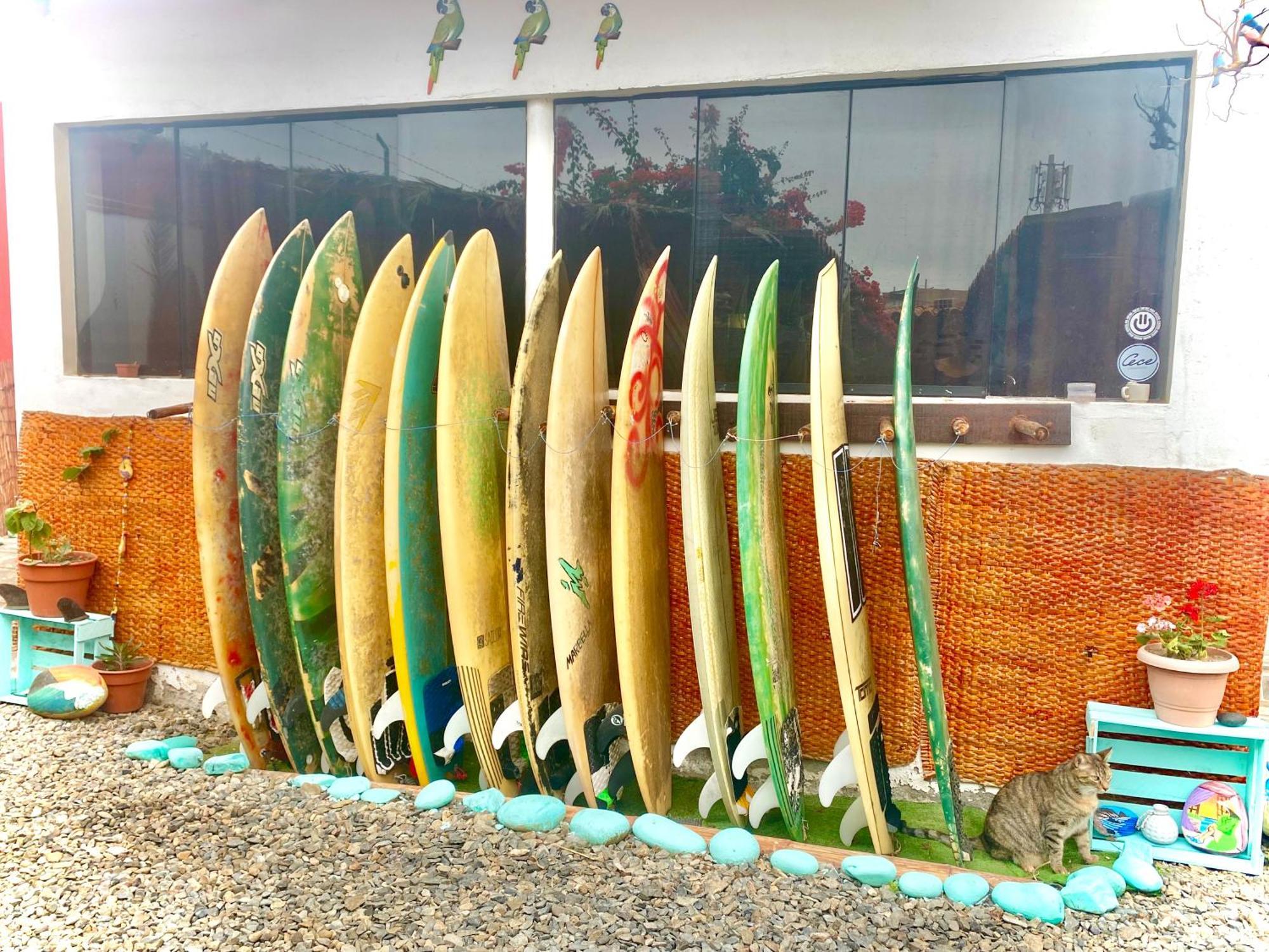 Surf House Chicama Hotel Puerto Chicama Luaran gambar